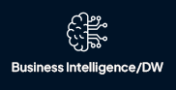 Business Intelligence